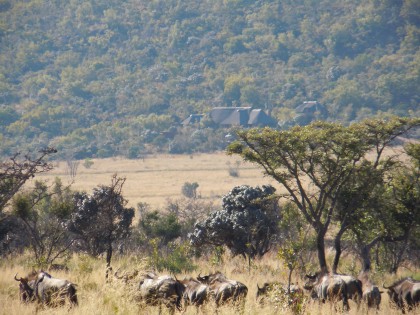 Kololo Game Reserve Kings and Queens Suite (hi-res image)