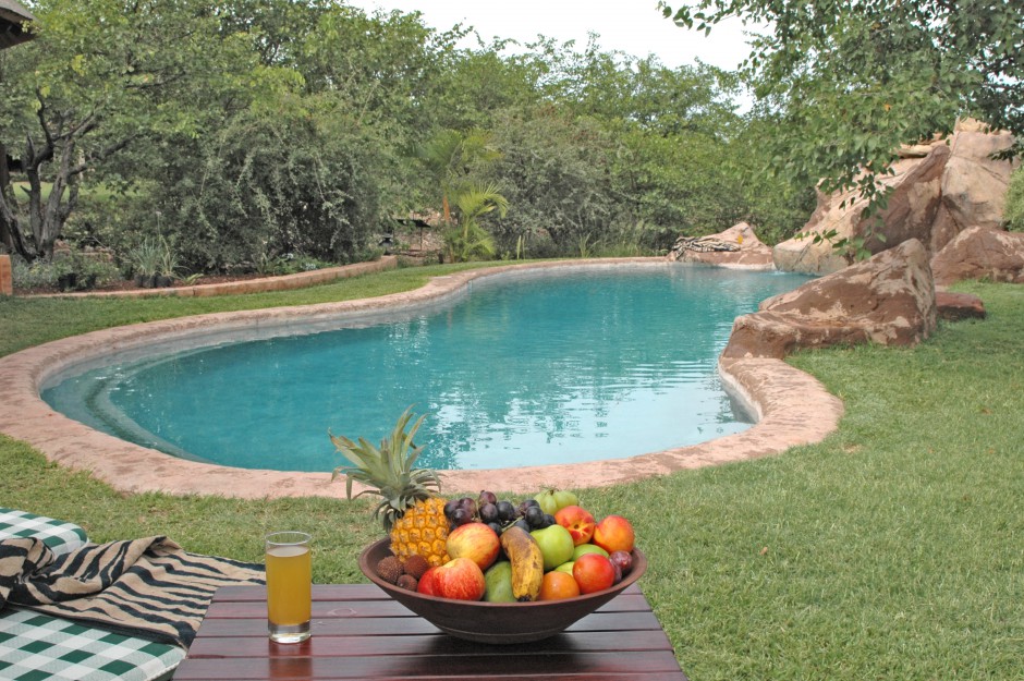 Mopane Bush Lodge pool (hi-res image)