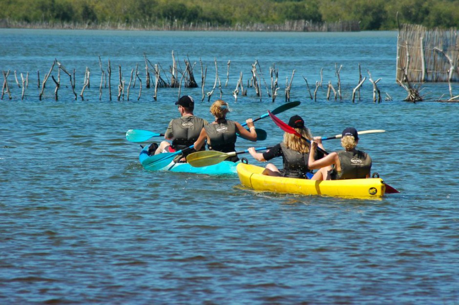 Kayaking in St Lucia South Africa (hi-res image)