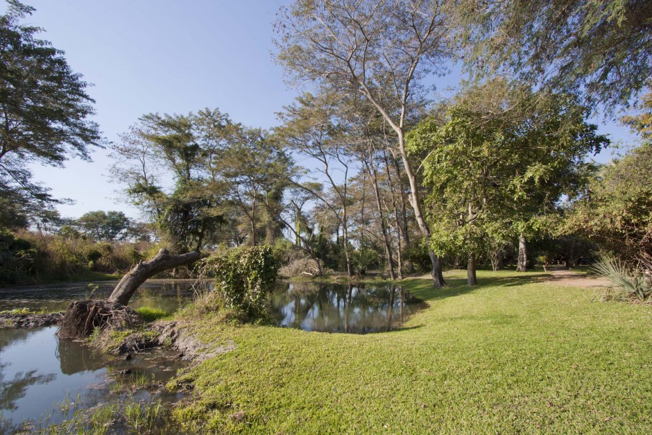 Chundukwa River Lodge ponds Upper Zambezi Zambia (hi-res JPG)